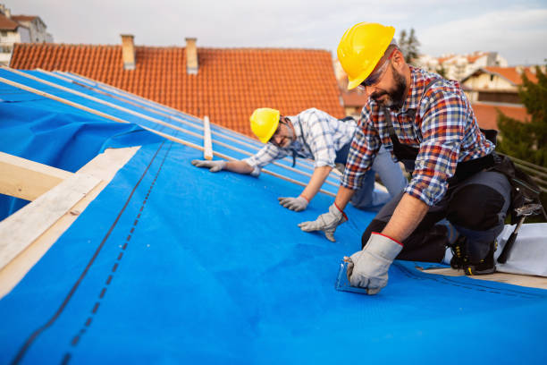 Best Storm Damage Roof Repair  in Iraan, TX