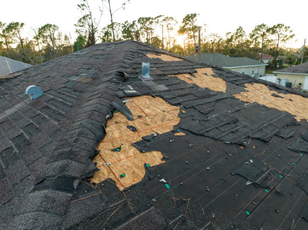 Fast & Reliable Emergency Roof Repairs in Iraan, TX